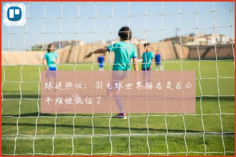 球迷热议:羽毛球世界排名是否公平谁被低估了