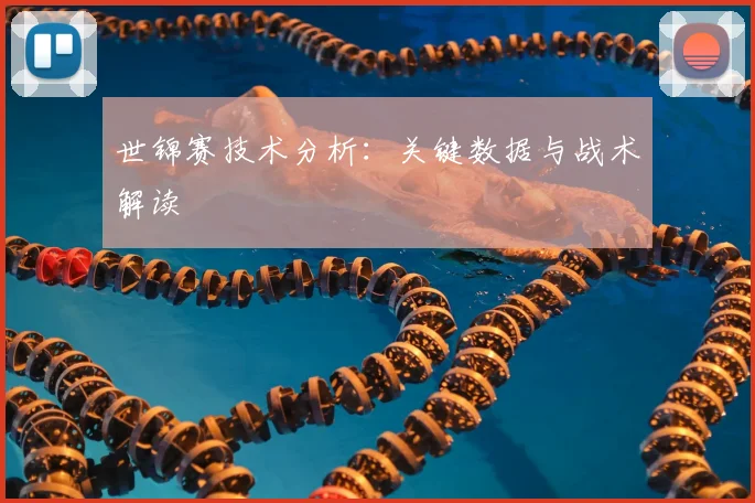 世锦赛技术分析：关键数据与战术解读